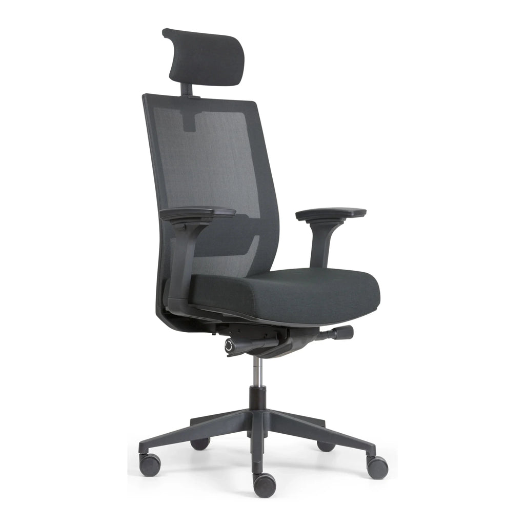 Chaise ergonomique - Gianni