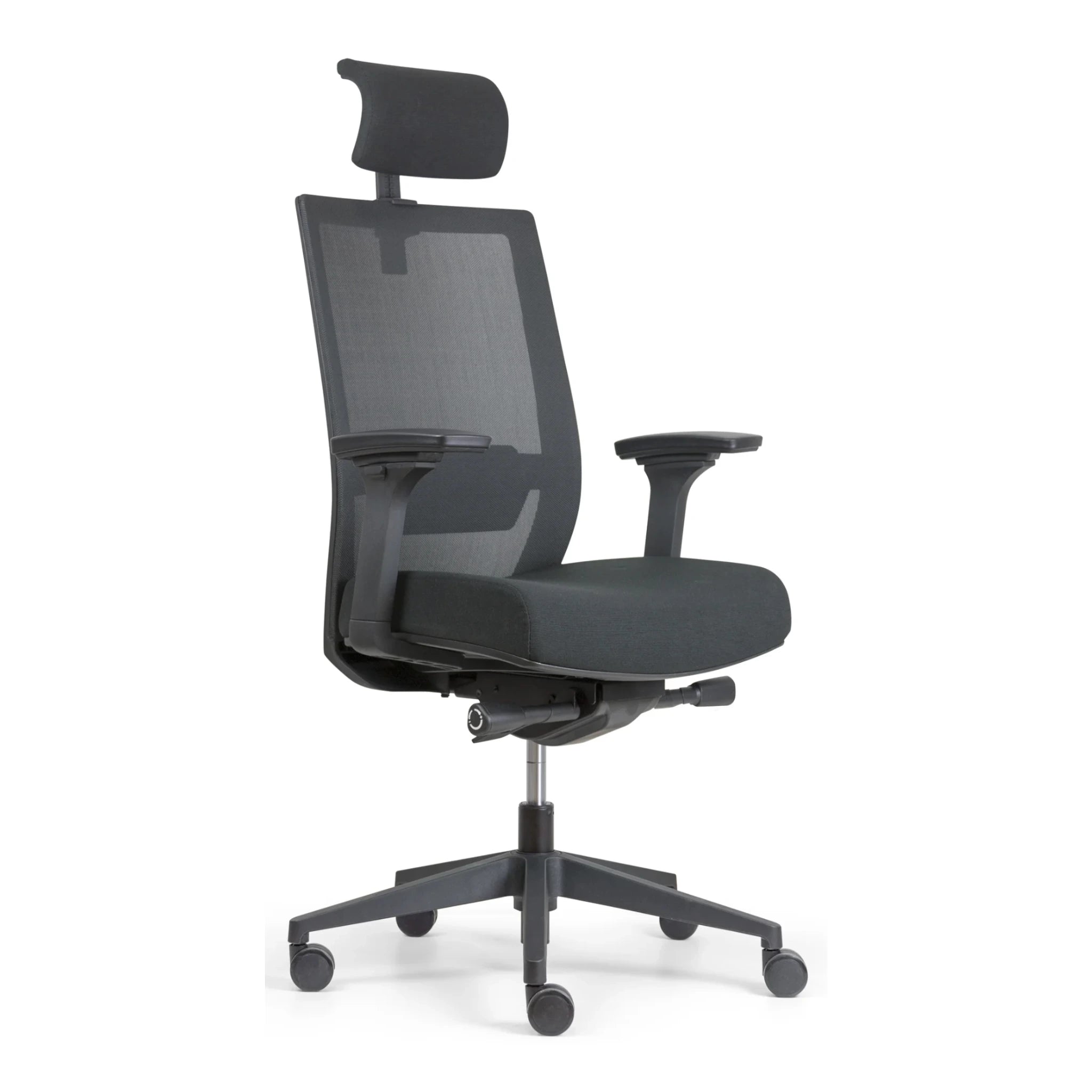 Chaise ergonomique - Gianni