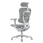 Chaise Ergonomique - Ergohuman Élite Grise