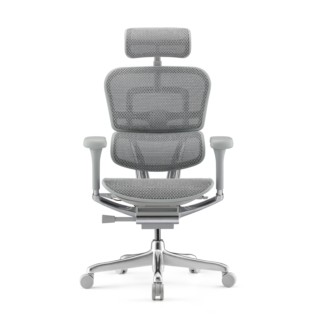 Chaise Ergonomique - Ergohuman Élite Grise