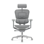 Chaise Ergonomique - Ergohuman Élite Grise