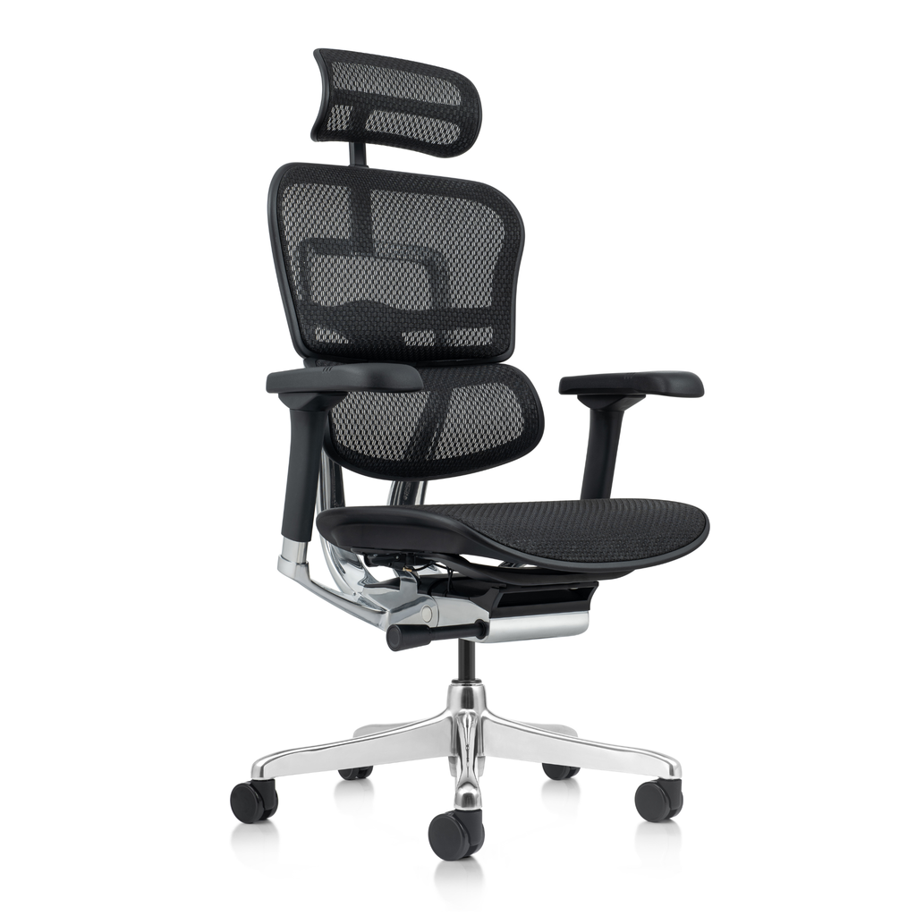 Chaise Ergonomique - Ergohuman Élite Noire