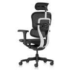 Chaise Ergonomique - Ergohuman Ultra