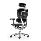 Fauteuil de Direction en Cuir - Ergohuman Luxury