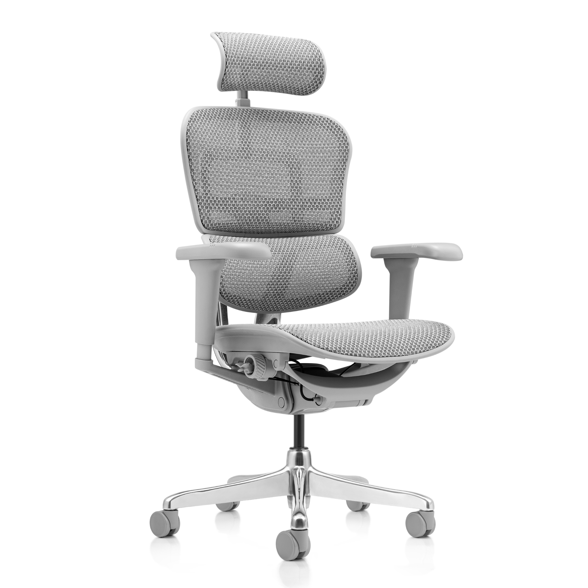 Chaise Ergonomique - Ergohuman Élite Grise