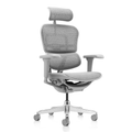 Chaise Ergonomique - Ergohuman Élite Grise