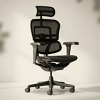 Chaise Ergonomique - Ergohuman Ultra