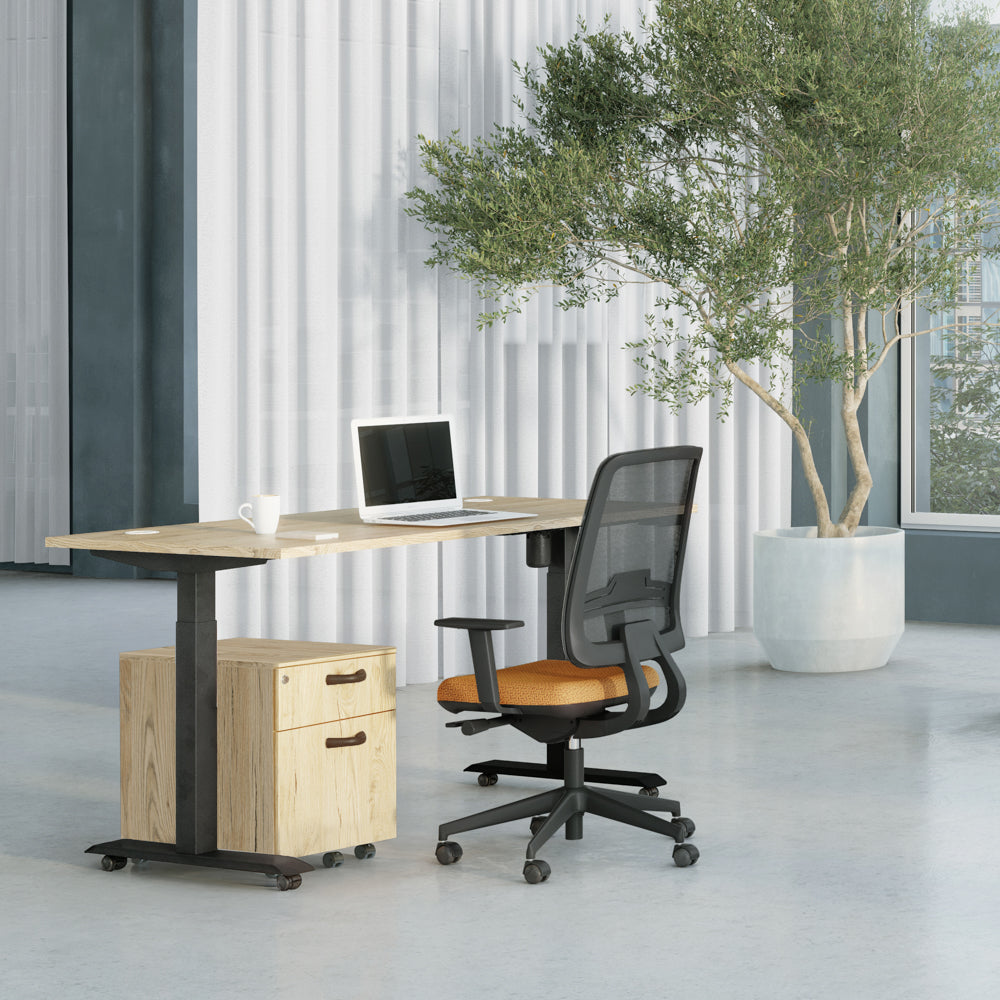 Lot de 4 roulettes pour bureau Axel 2 / Lutz 2