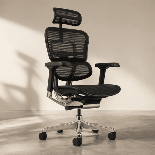 Chaise Ergonomique - Ergohuman Élite Noire