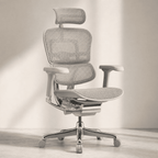 Chaise Ergonomique - Ergohuman Élite Grise