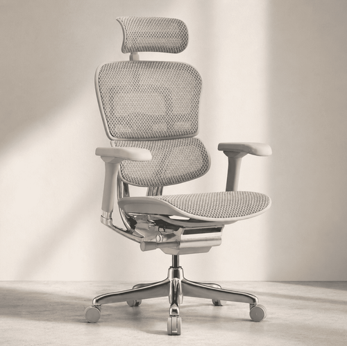 Chaise Ergonomique - Ergohuman Élite Grise