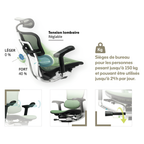 Chaise Ergonomique - Ergohuman Élite Grise